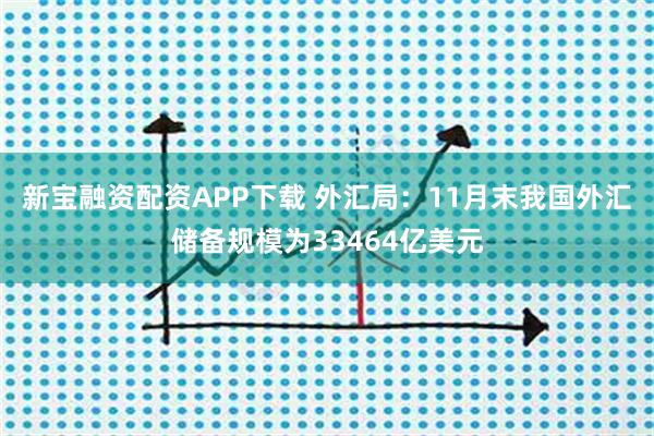 新宝融资配资APP下载 外汇局：11月末我国外汇储备规模为33464亿美元