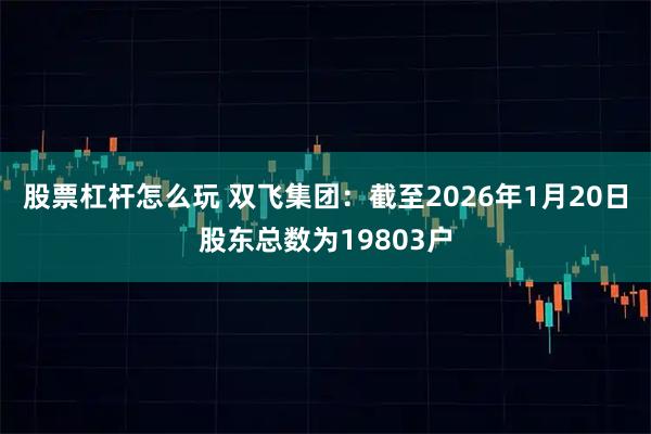 股票杠杆怎么玩 双飞集团：截至2026年1月20日股东总数为19803户